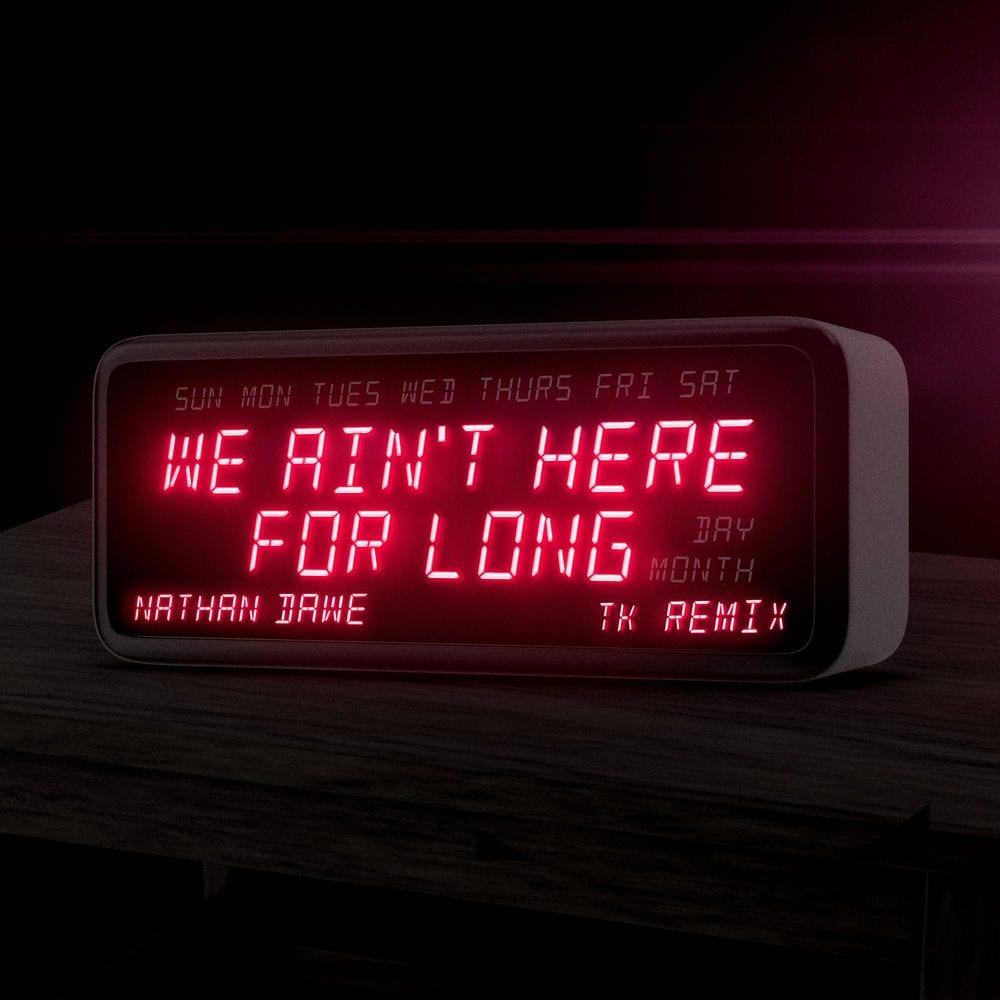 We Ain't Here For Long (TK Remix) cover