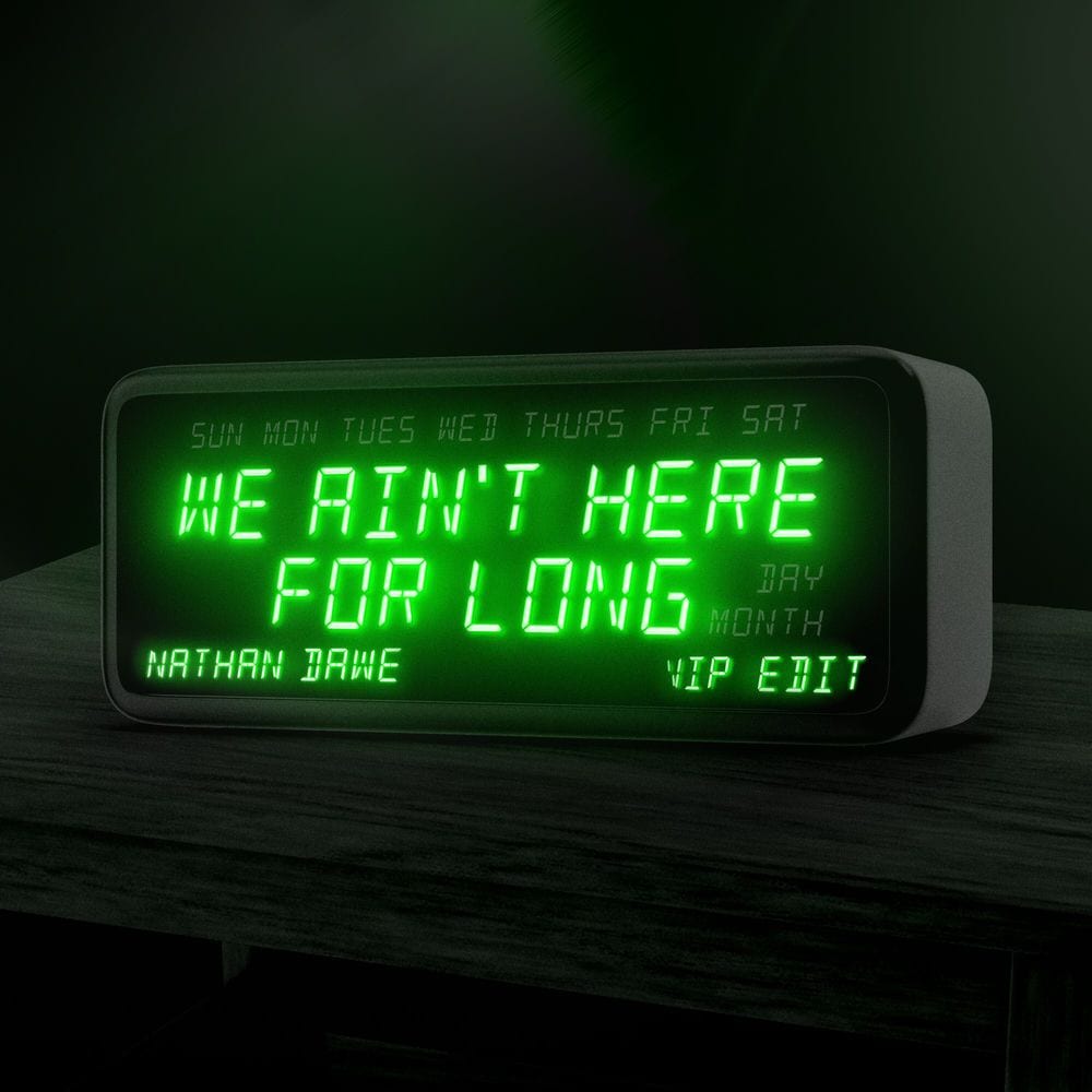 We Ain't Here For Long (VIP Edit) cover