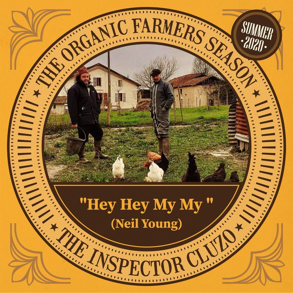 Hey Hey My My (Neil Young Cover) cover