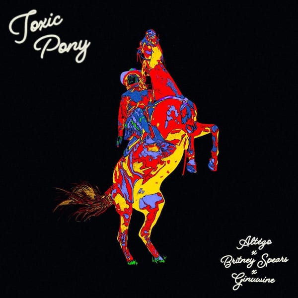 Toxic Pony cover