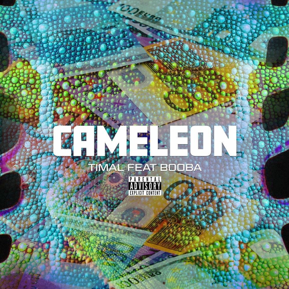 Caméléon cover