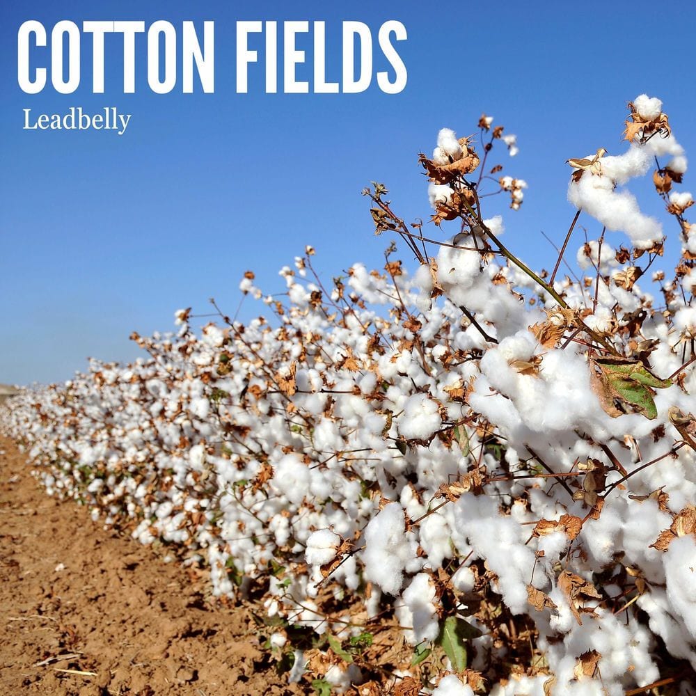 Cotton Fields cover