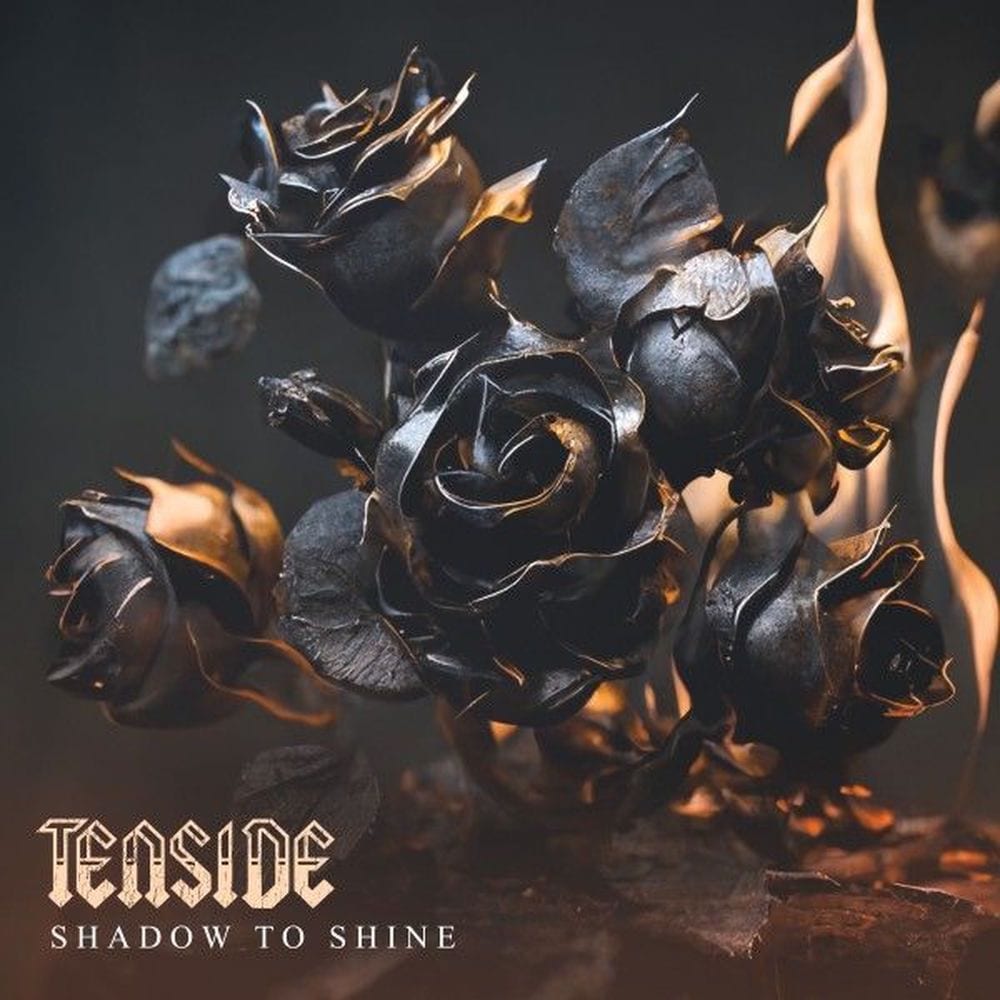 Shadow to Shine cover