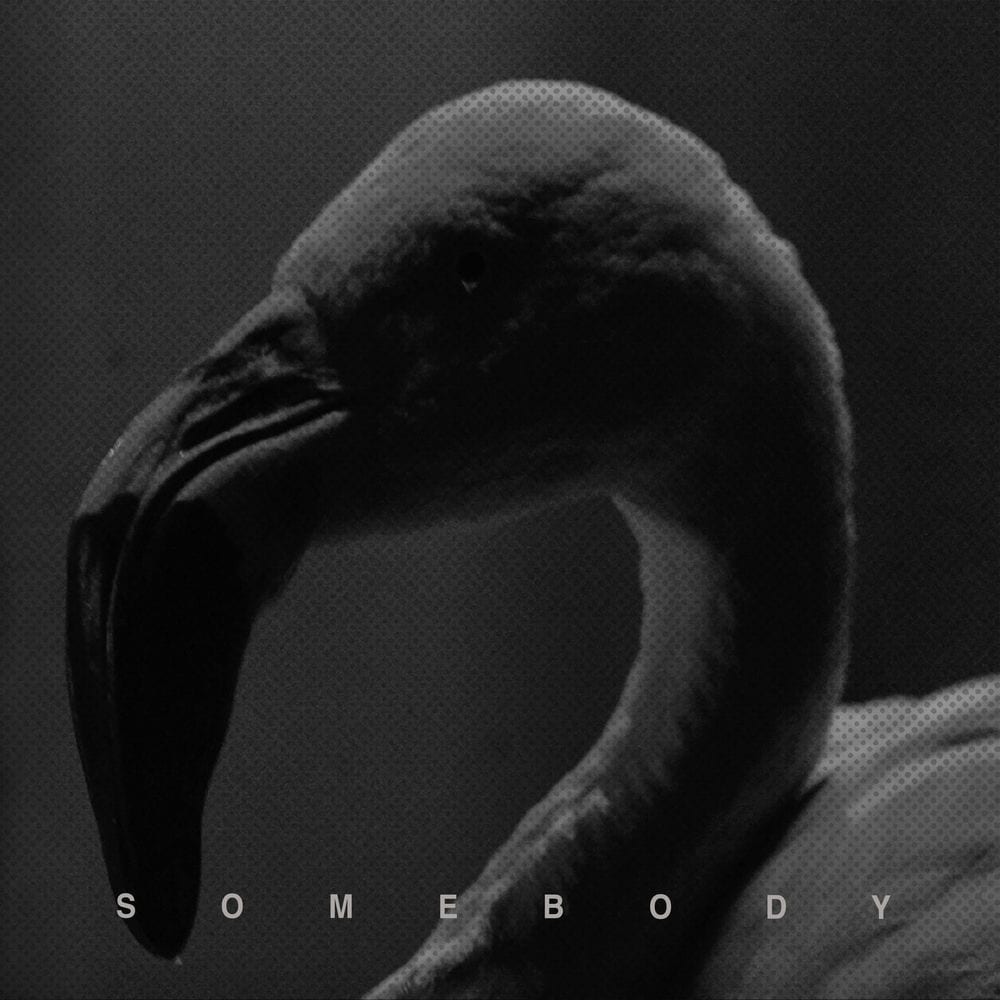 Somebody cover