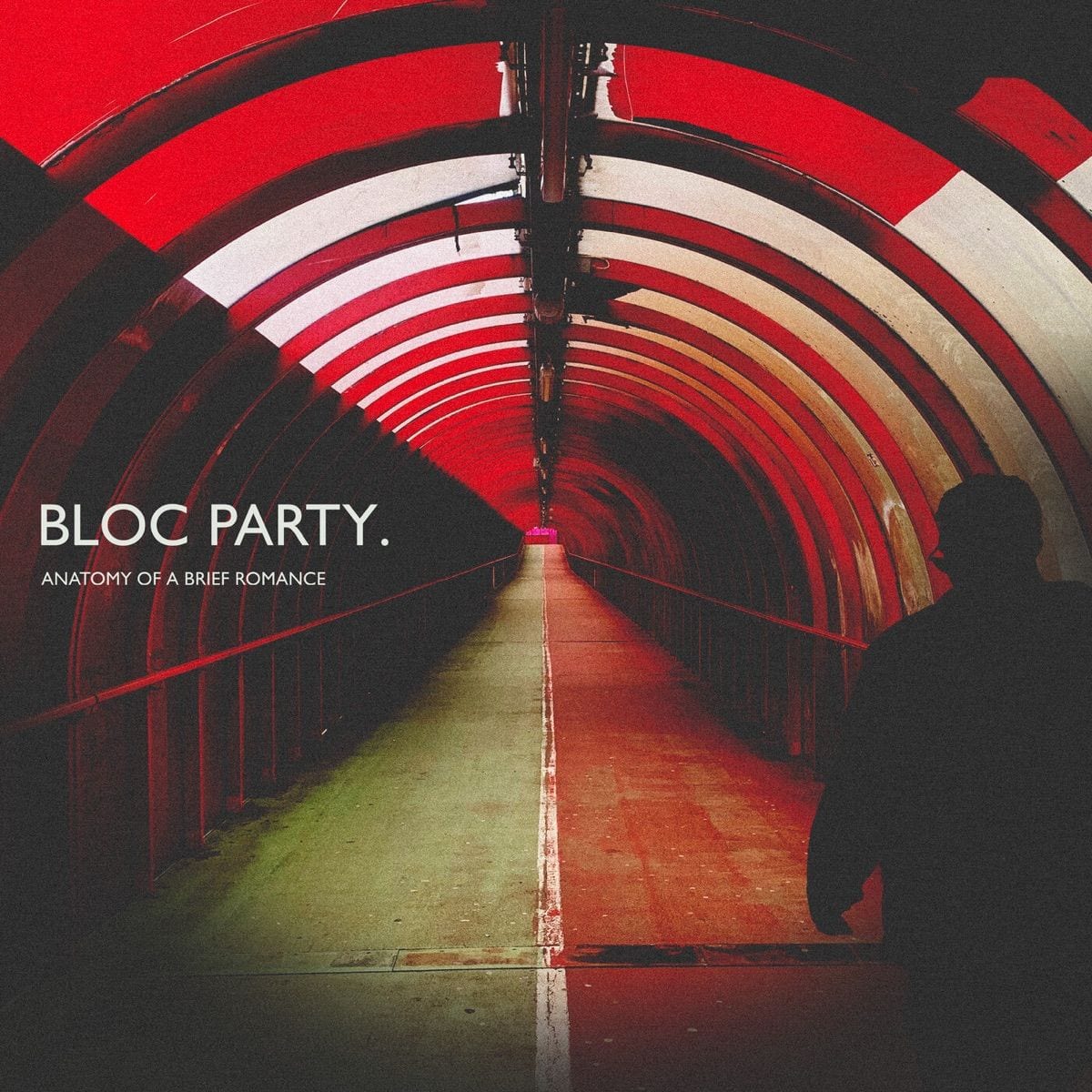 Anatomy Of A Brief Romance cover