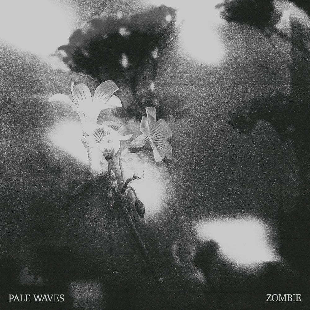Zombie cover