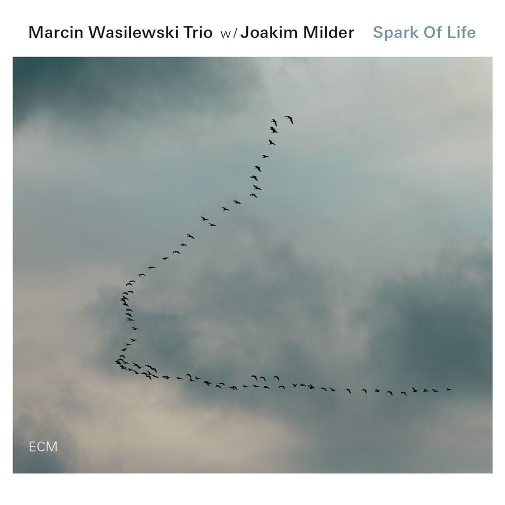 Spark Of Life cover