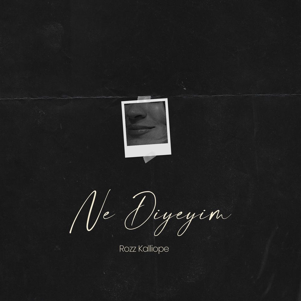 Ne Diyeyim cover