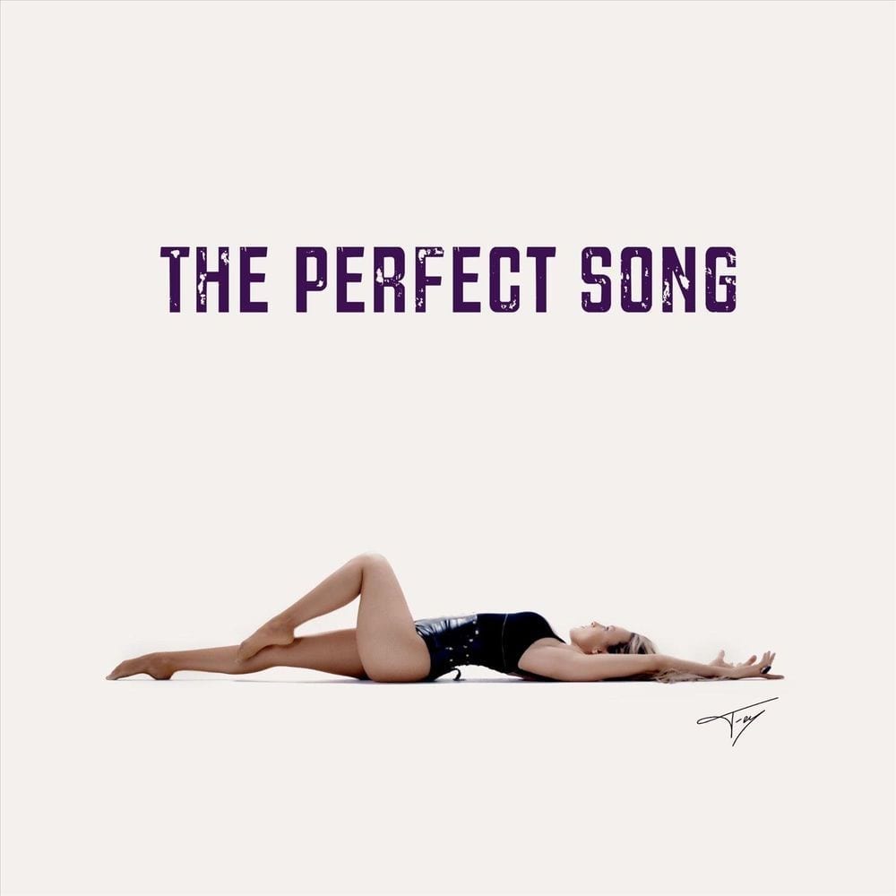 The Perfect Song cover