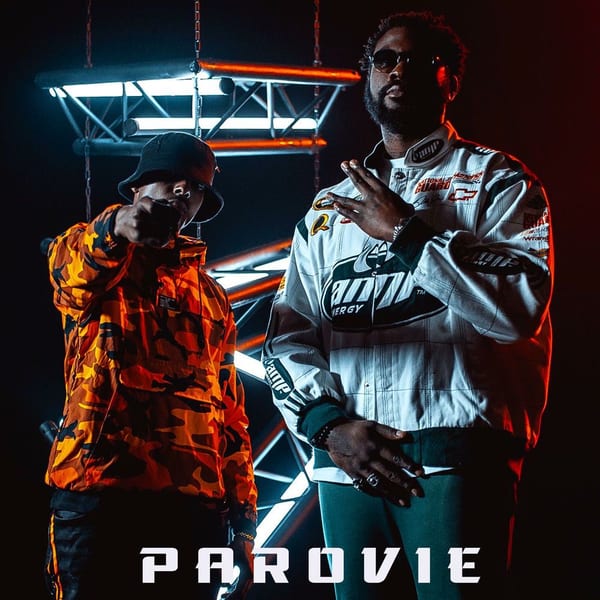 ParoVie (feat. Damso) cover