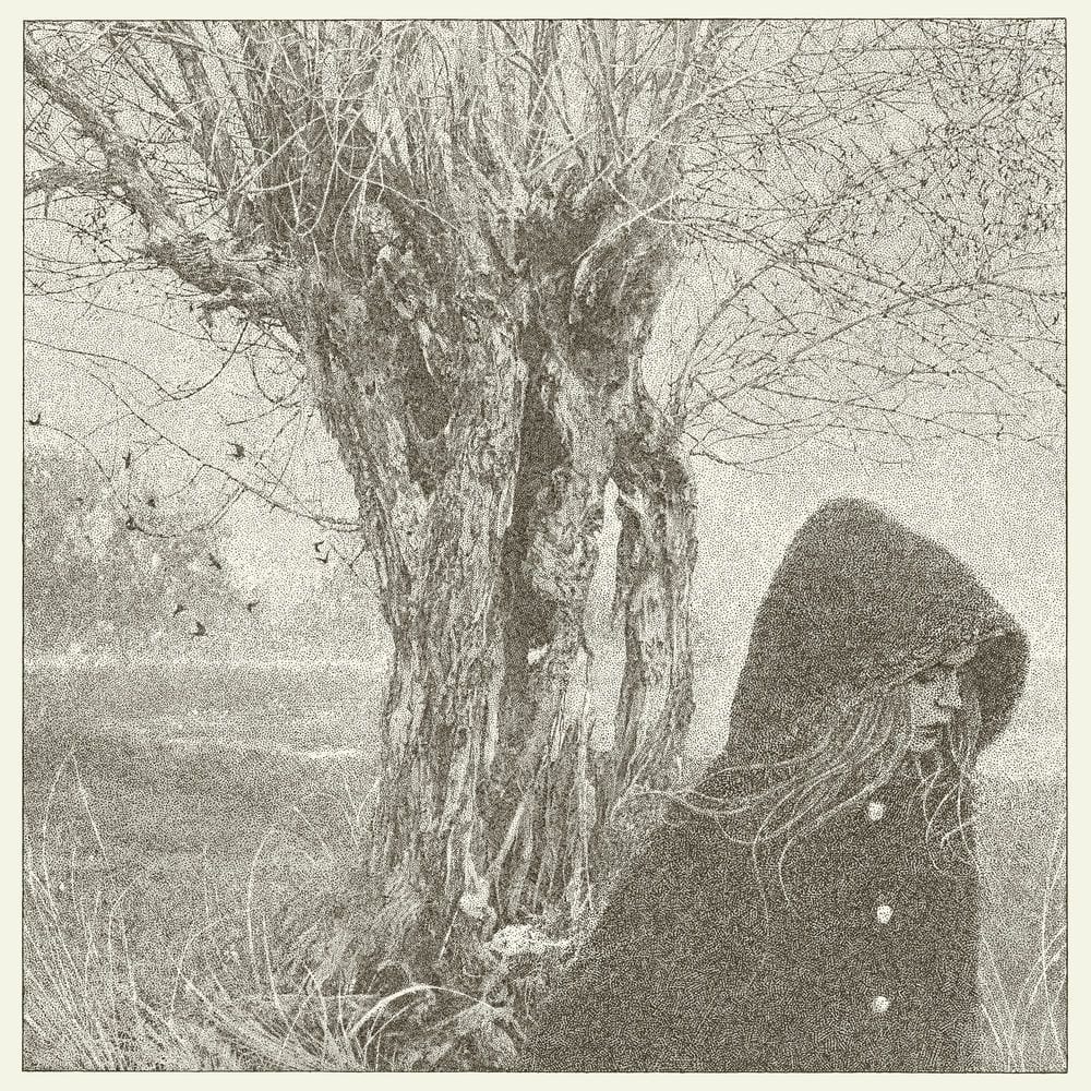 Between the Earth and Sky cover
