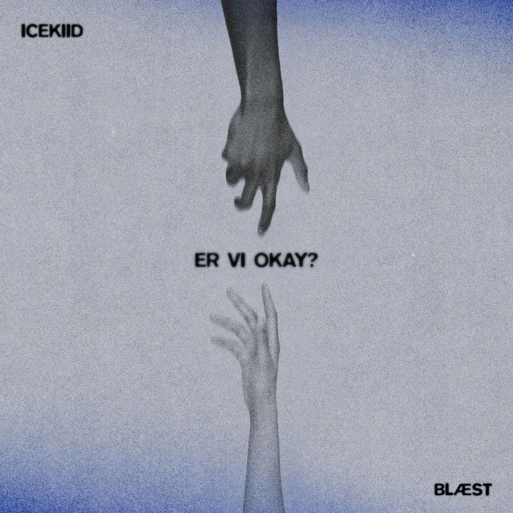 Er Vi Okay? cover