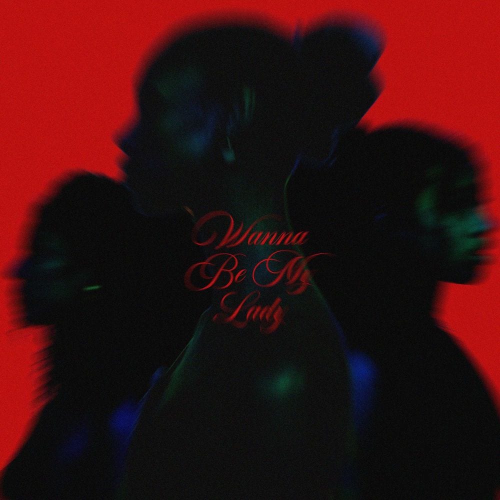 Wanna Be My Lady cover