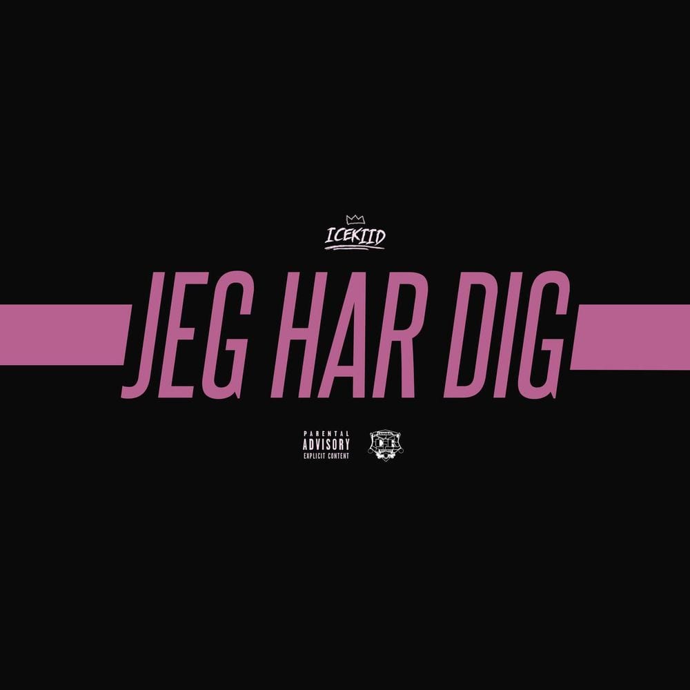 Jeg Har Dig cover