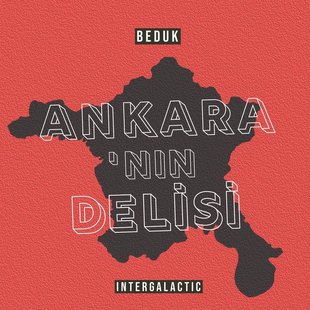 Ankara'nın Delisi cover