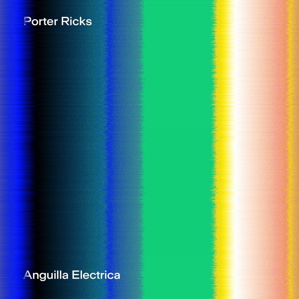 Anguilla Electrica cover