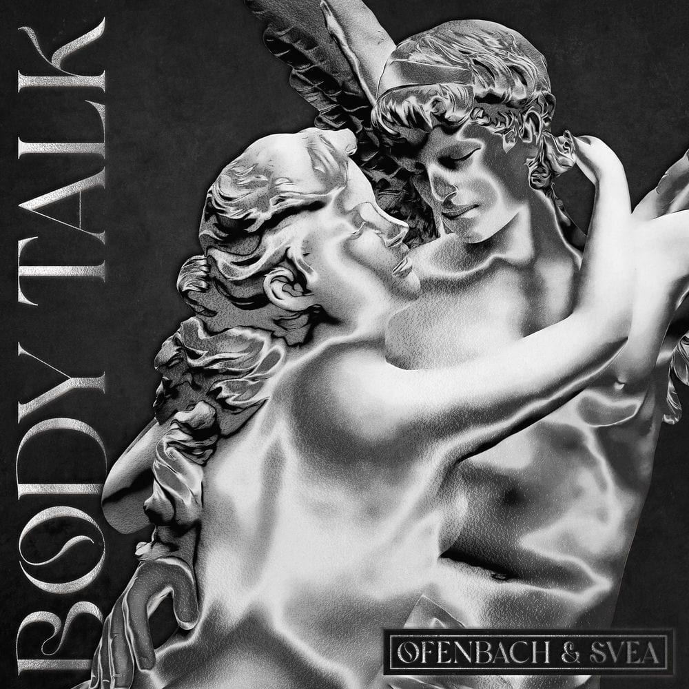 Body Talk (feat. SVEA) (VIP Remix) cover