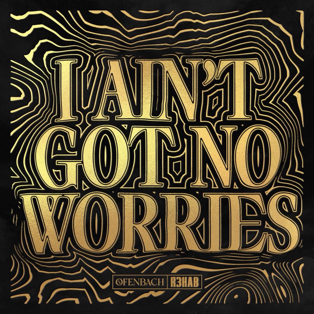 I Ain't Got No Worries cover