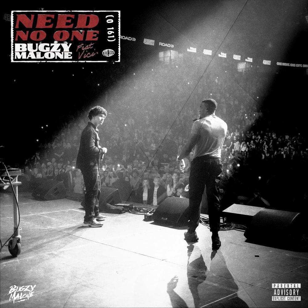 Need No One (feat. VICI) cover