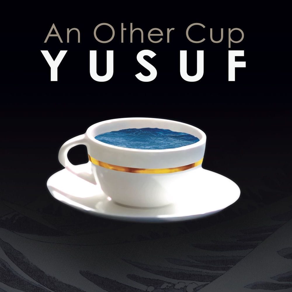An Other Cup cover