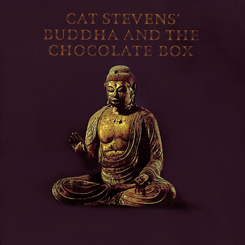 Buddha And The Chocolate Box cover