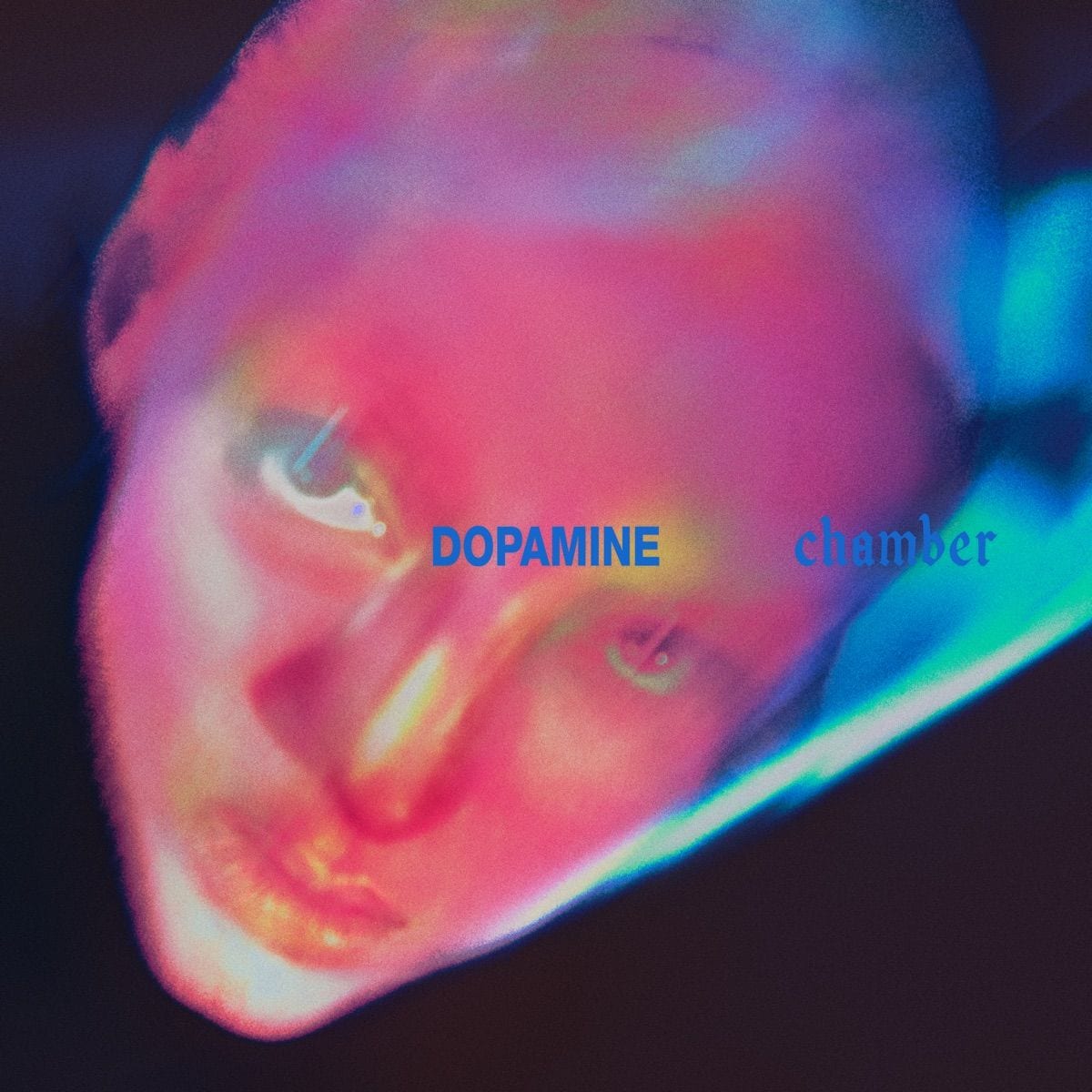 Dopamine Chamber artwork