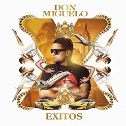 Exitos album cover