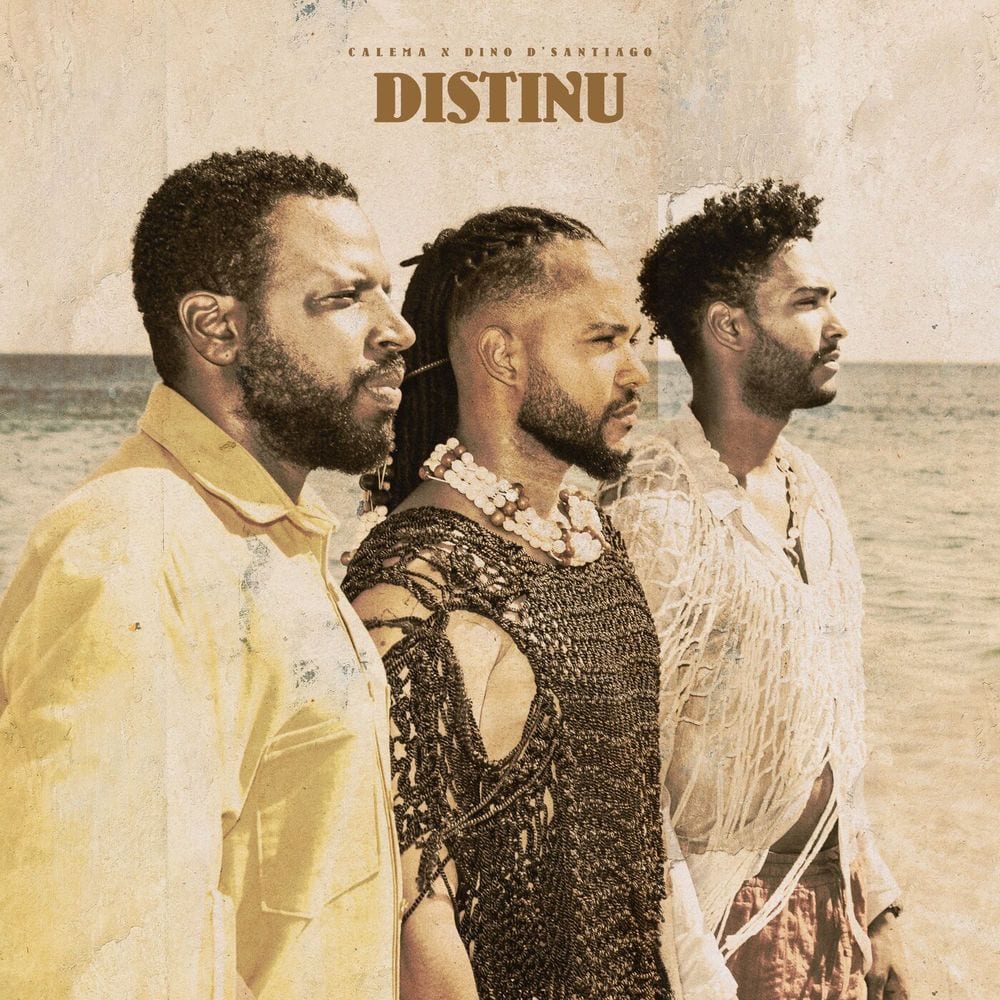Distinu cover