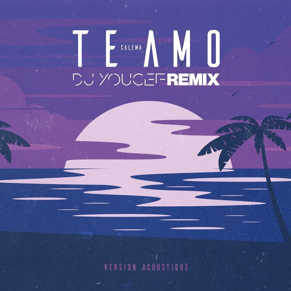 Te Amo (DJ Youcef Remix – Version Acoustique) cover