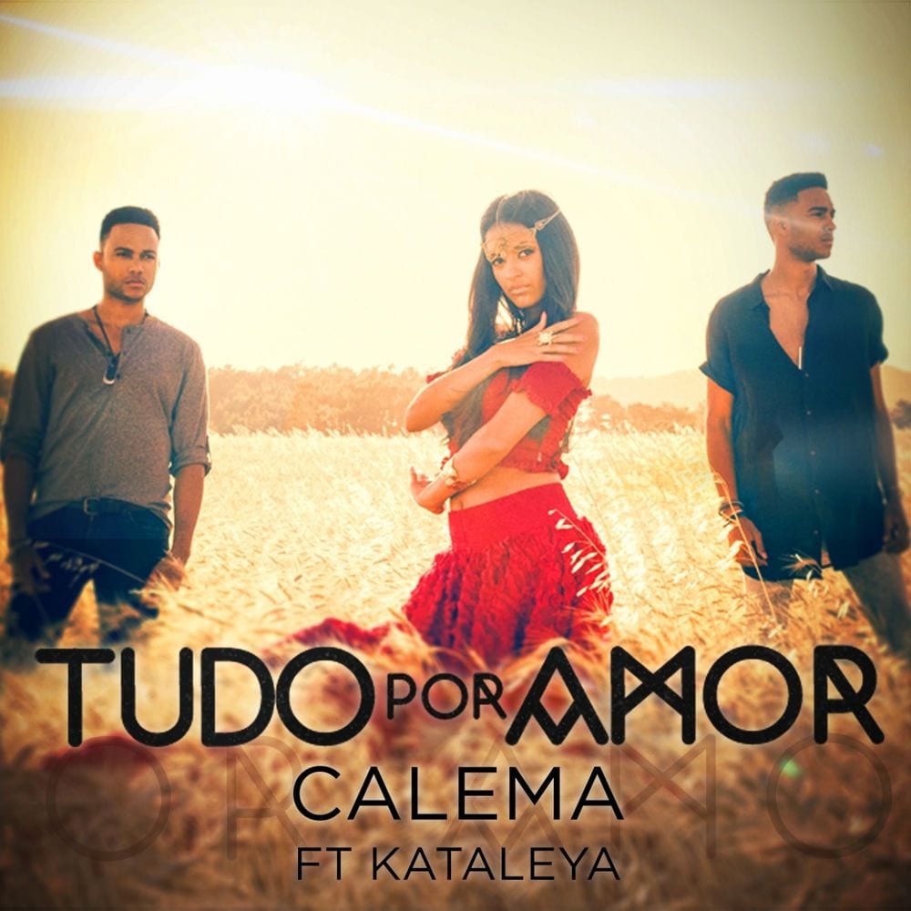 Tudo por Amor cover