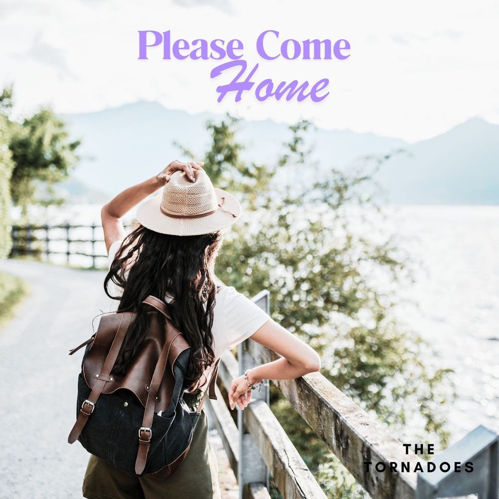 Please Come Home cover