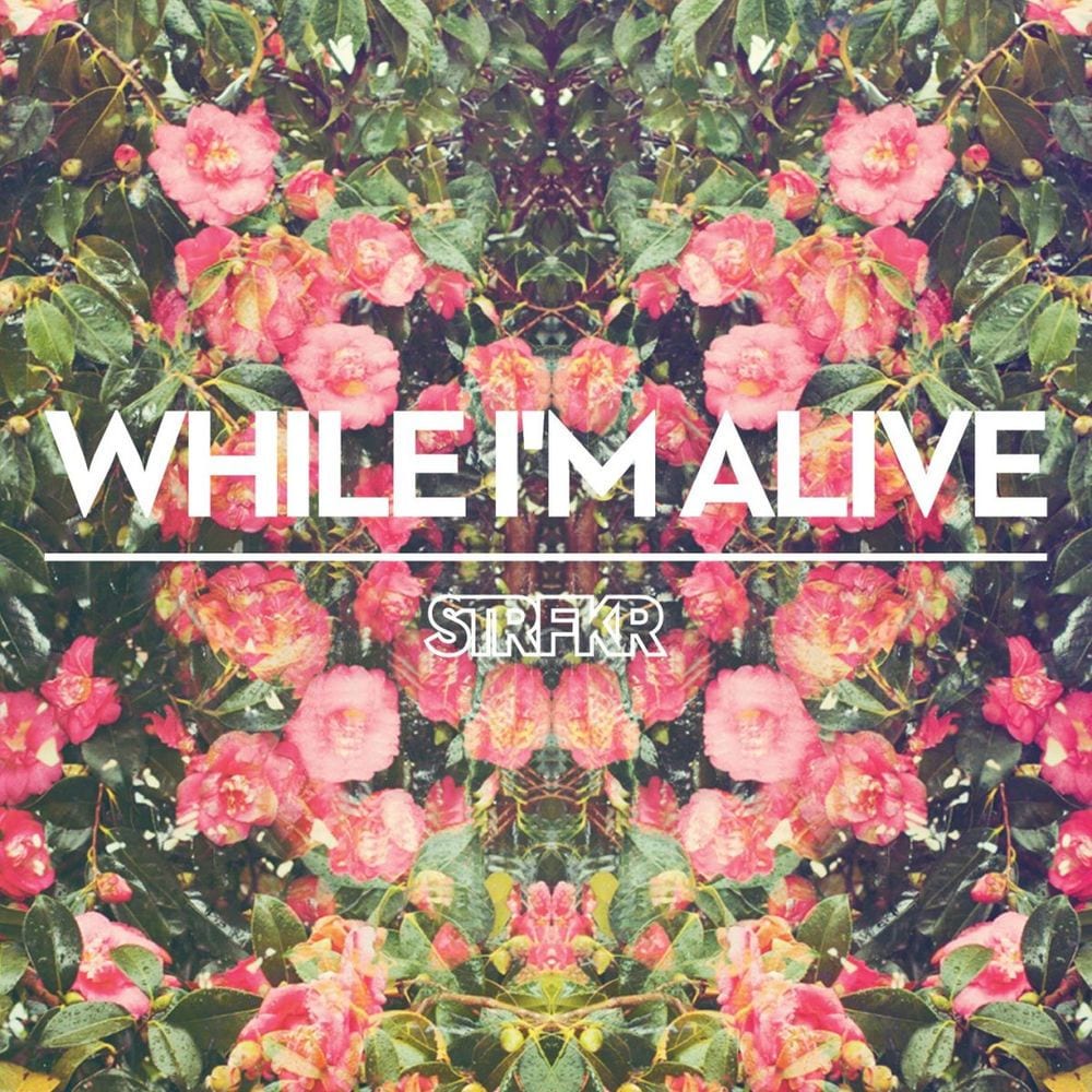 While I'm Alive cover