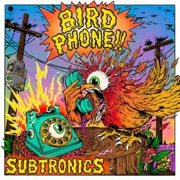 Bird Phone album cover