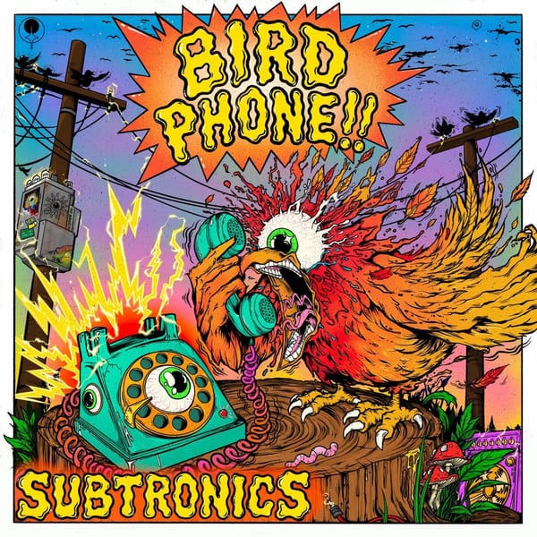 Bird Phone album cover