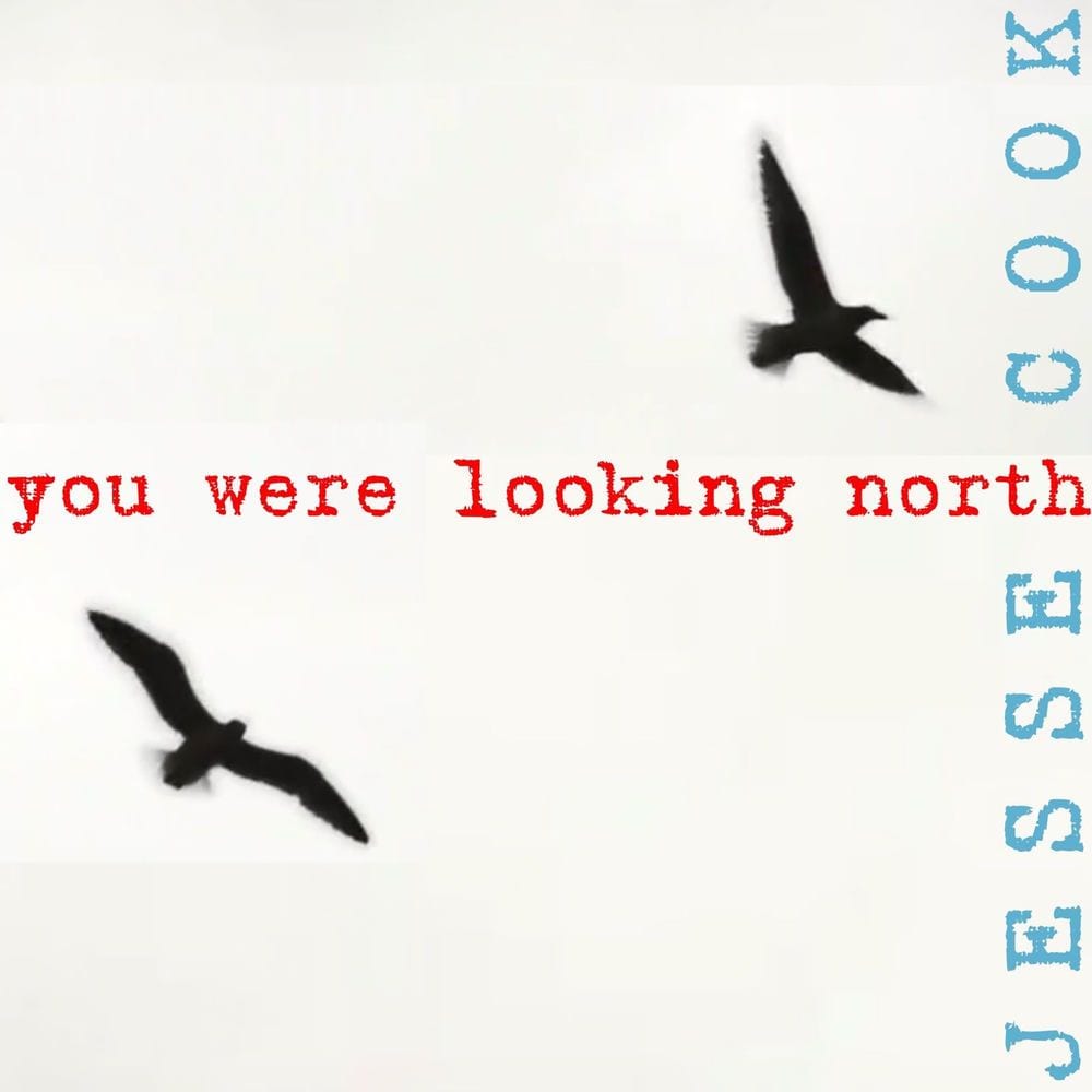 you were looking north cover