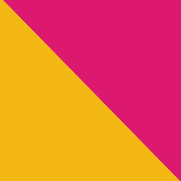 Flag album cover