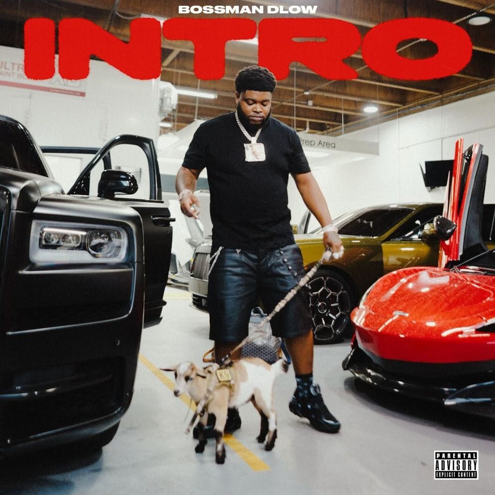 Intro cover