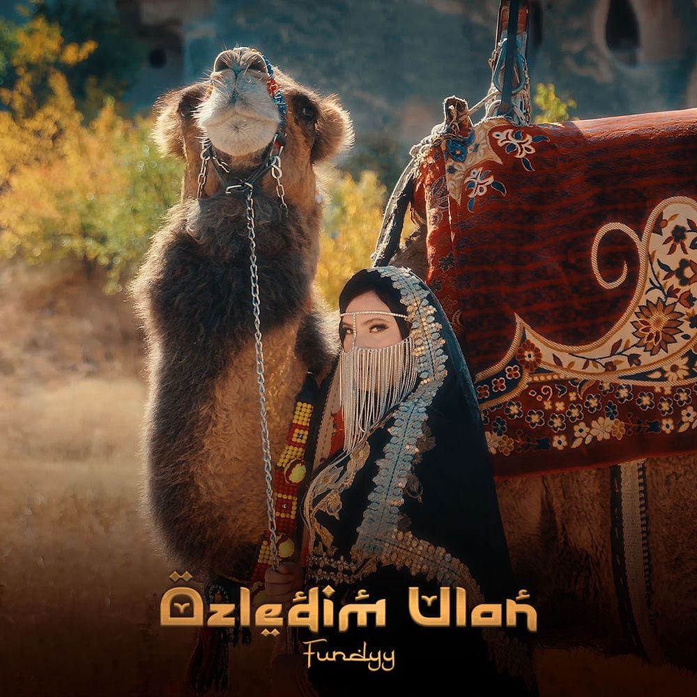 Özledim Ulan cover