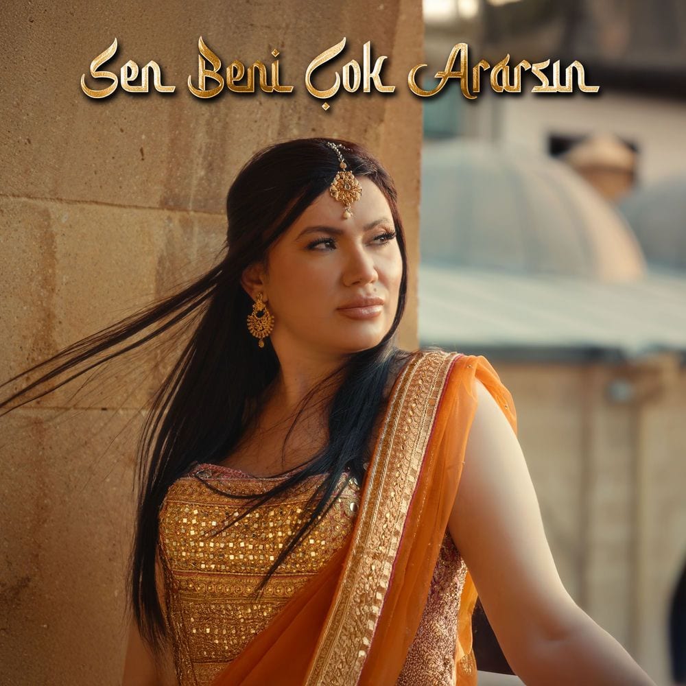 Sen Beni Çok Ararsın cover