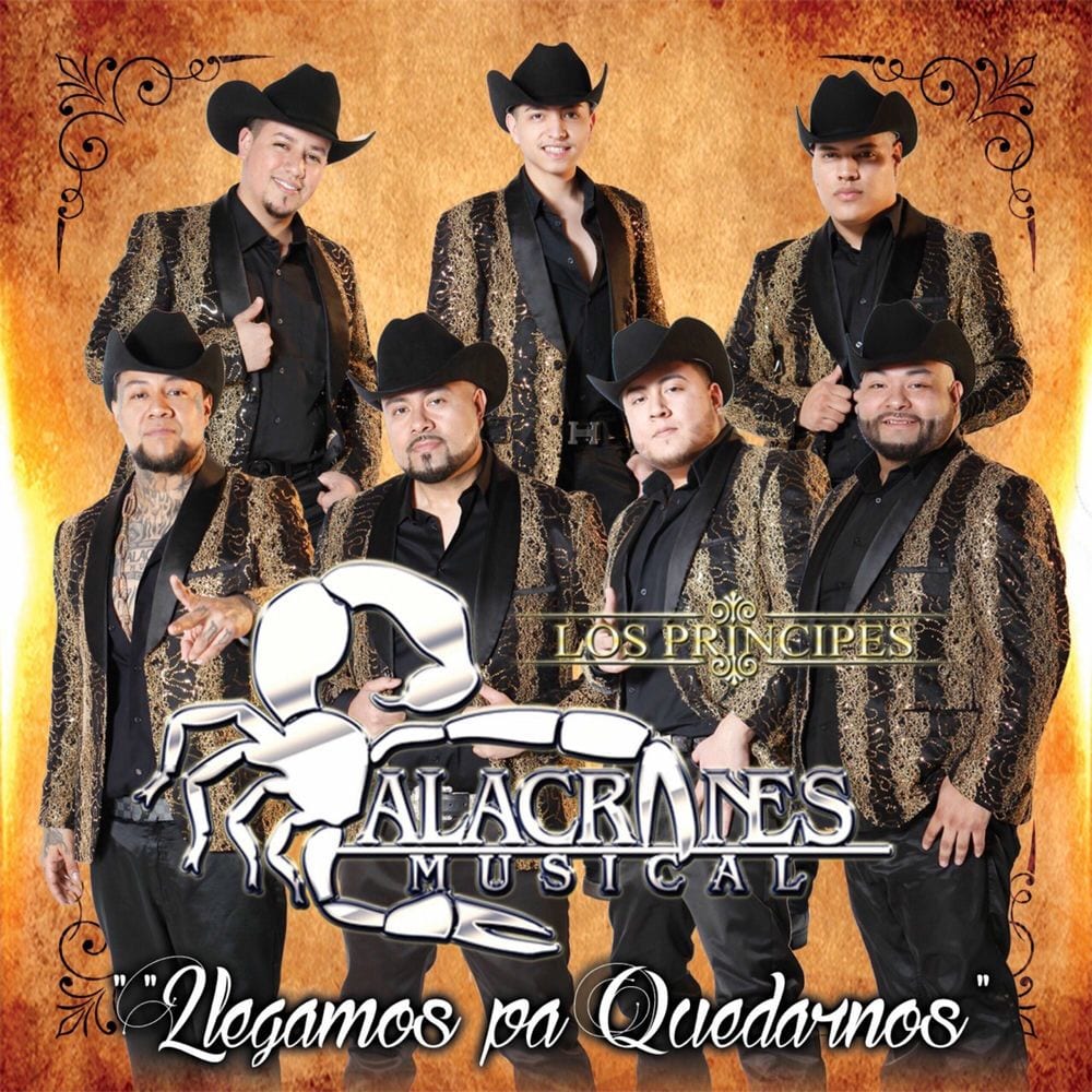 Llegamos Pa Quedarnos cover