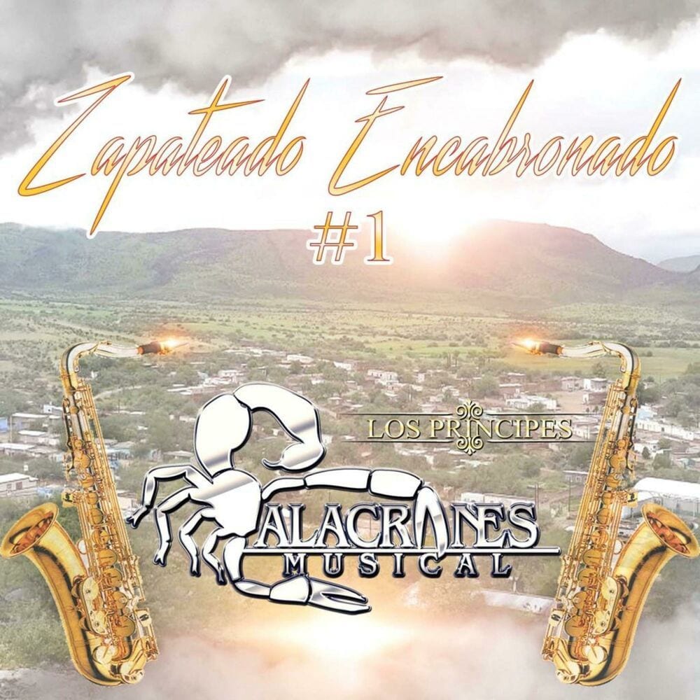 Zapateado Encabronado cover