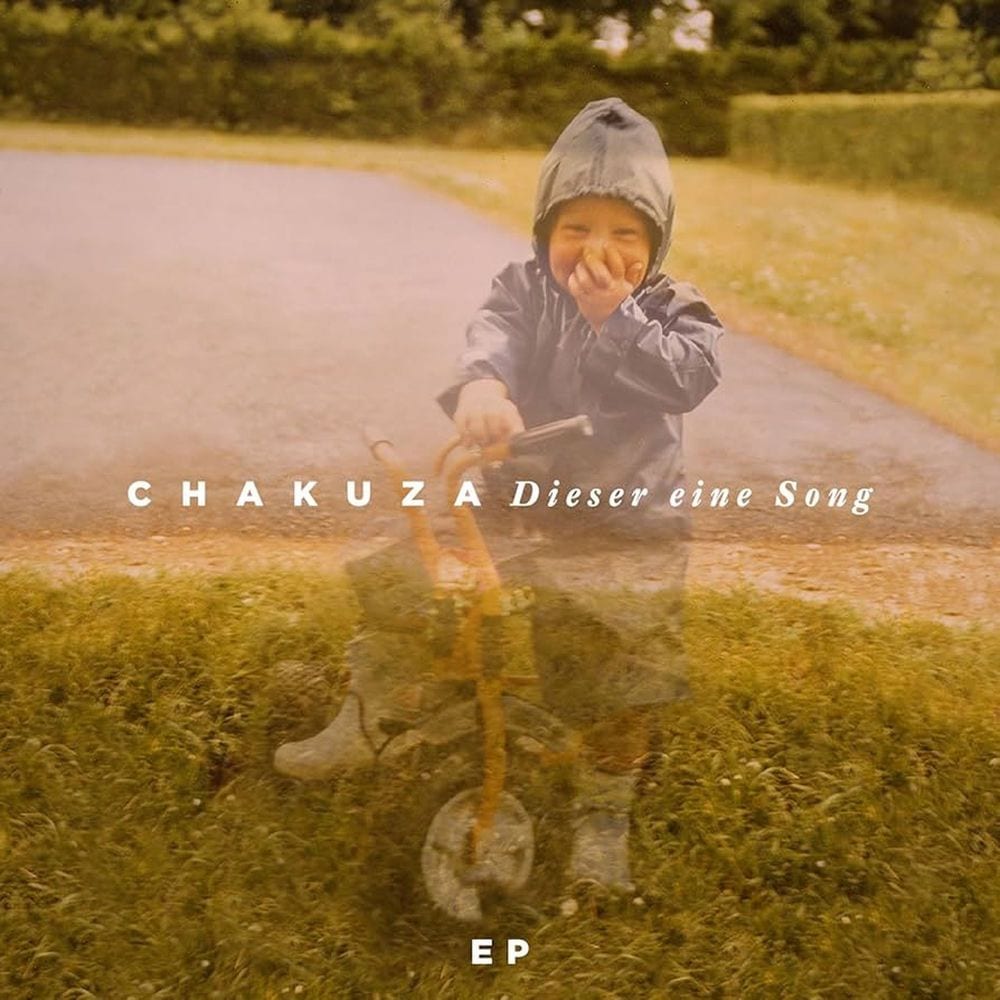 Dieser eine Song cover