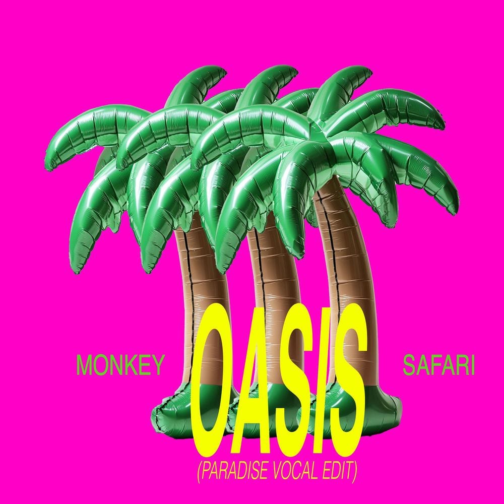 Oasis (Paradise Vocal Edit) cover