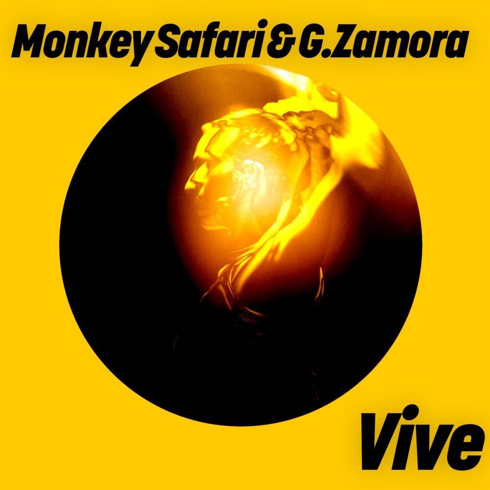 Vive cover
