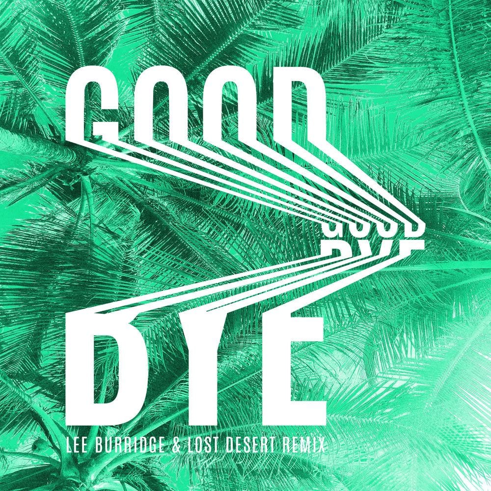 Goodbye (Lee Burridge & Lost Desert Remix) cover