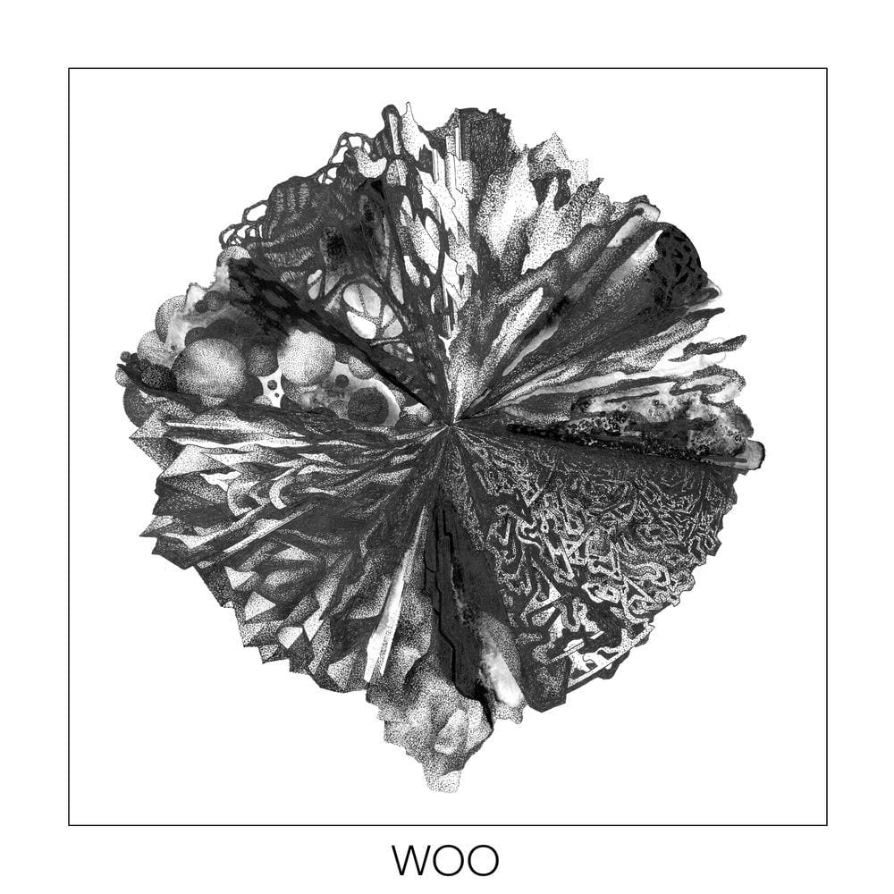 Woo cover