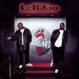 Le Bilan album cover