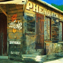 Phenomenal album cover