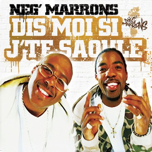 Dis moi si j'te saoule album cover