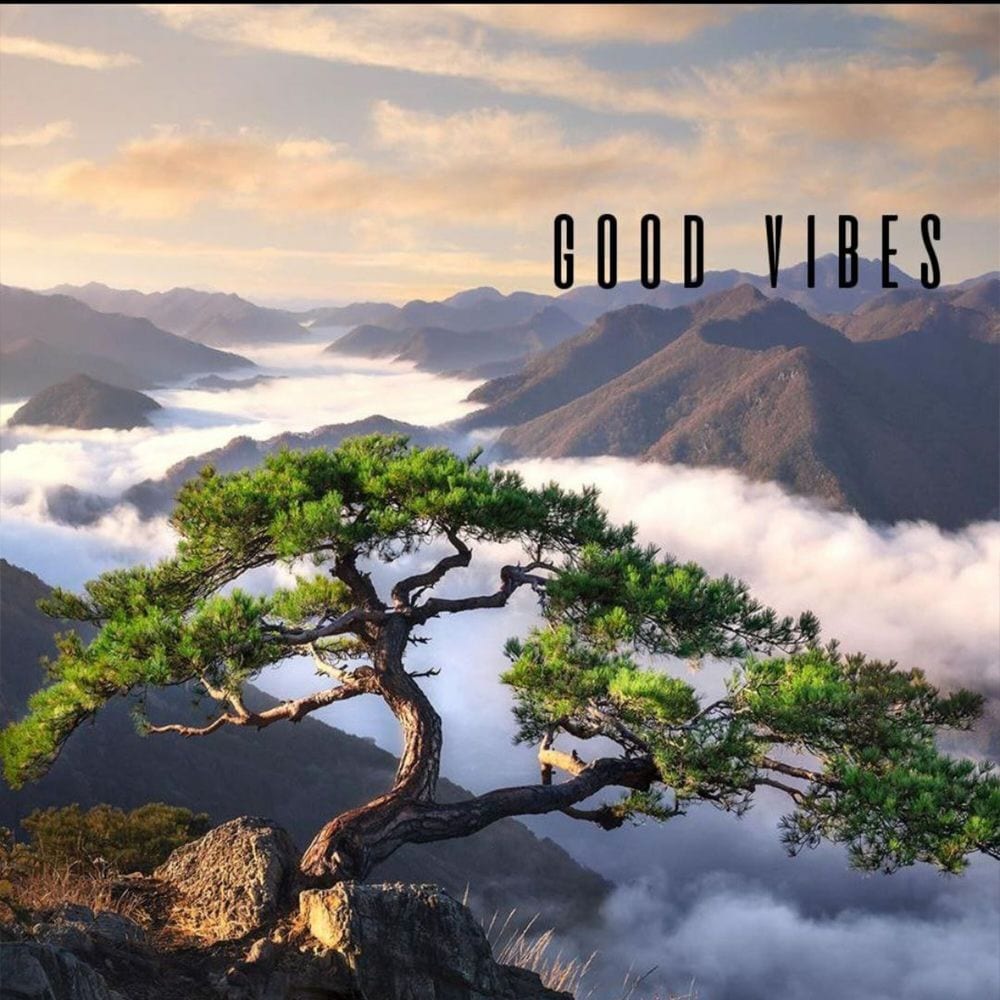Good Vibes cover